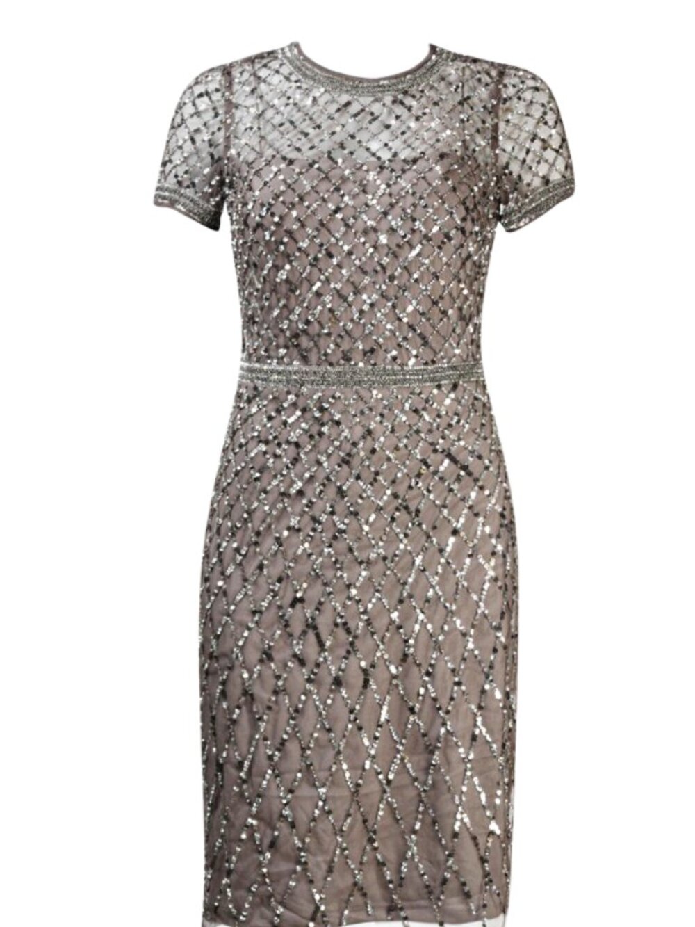 Adrianna Papell Crew Neckline Short Sleeve Sequined Mesh Dress